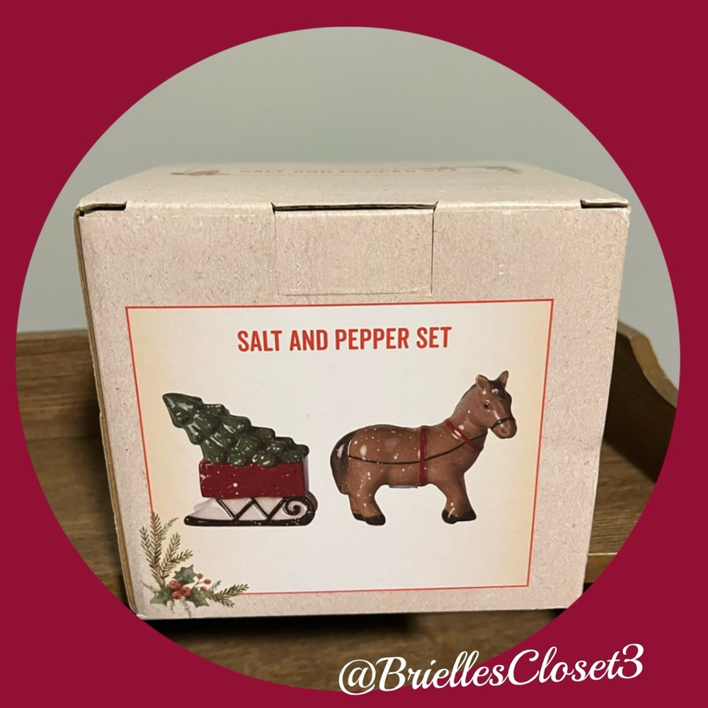 🌸 New Ceramic Salt and Pepper Shakers Set - Red & Brown